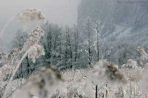 Winter-5