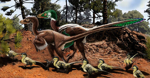 Dromaeosaurus closeup
