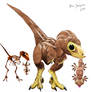 Study of baby Velociraptor
