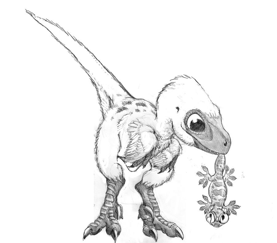 Sketch for baby velociraptor by Psithyrus on DeviantArt