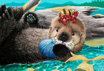 Oki the baby sea otter