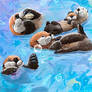 Sea Otter Dreams