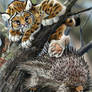 Paleo Buddies