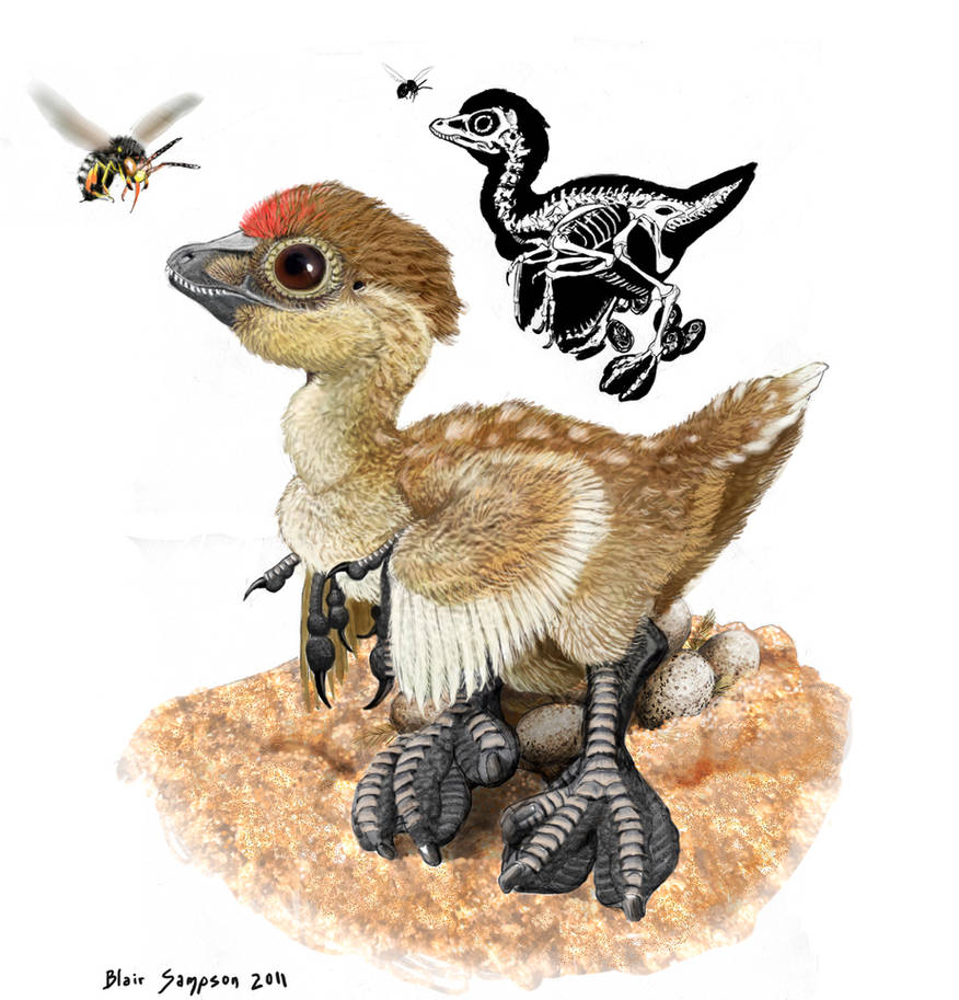 Water Rapter Water loving raptor dinosaur by Psithyrus on DeviantArt