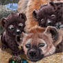 Mama git up, hyena cubs with mom