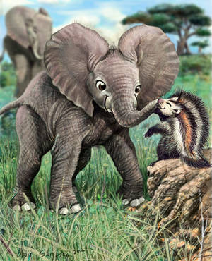 Little Barak and a Fluffy Rat, baby elephant by Psithyrus