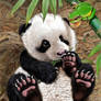 PANDA CUB WATCHES CUTE GREEN TREE FROG