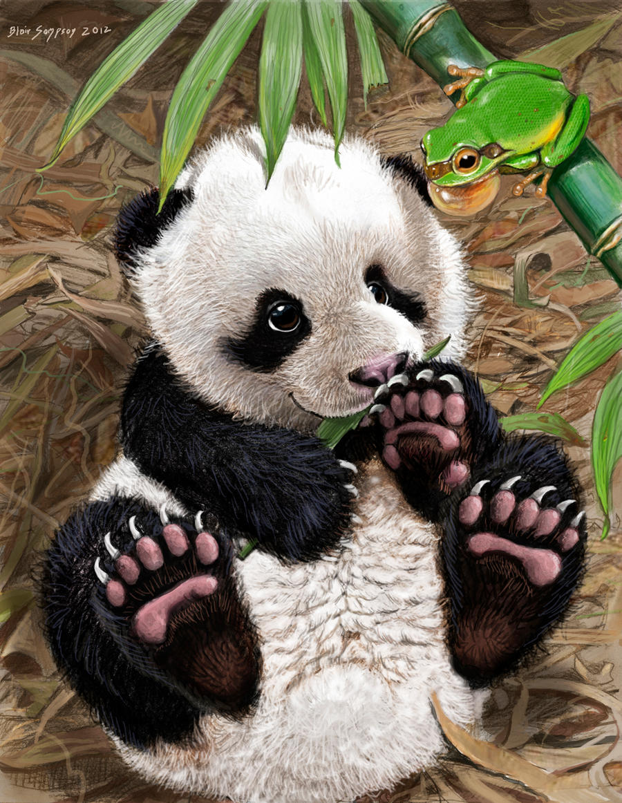 PANDA CUB WATCHES CUTE GREEN TREE FROG by Psithyrus