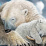 Warmest Place on Earth 2 Polar Bear Family