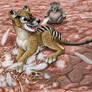 Iluka Eats Karl, Thylacine, Wombat, and Chicken