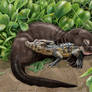 Giant river otter pup and his caiman buddy