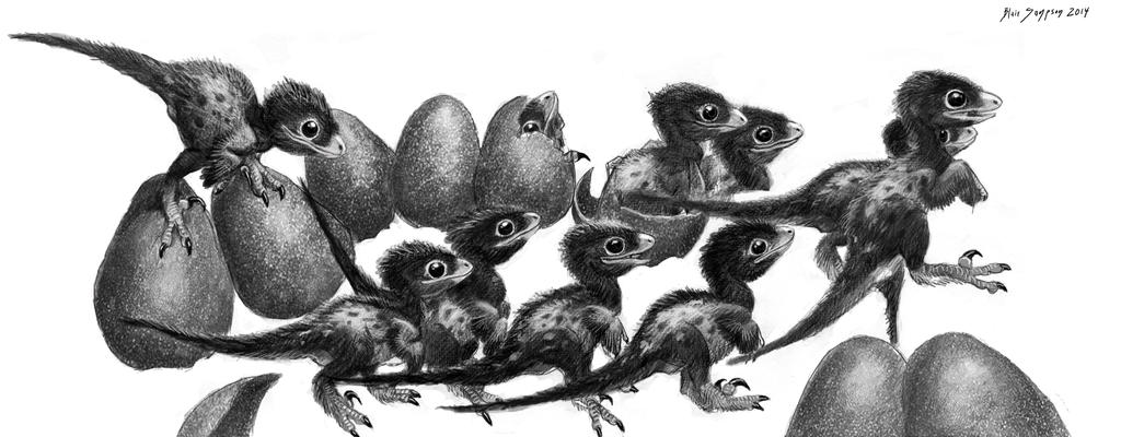 Baby raptor dinosaurs to good homes by Psithyrus on DeviantArt