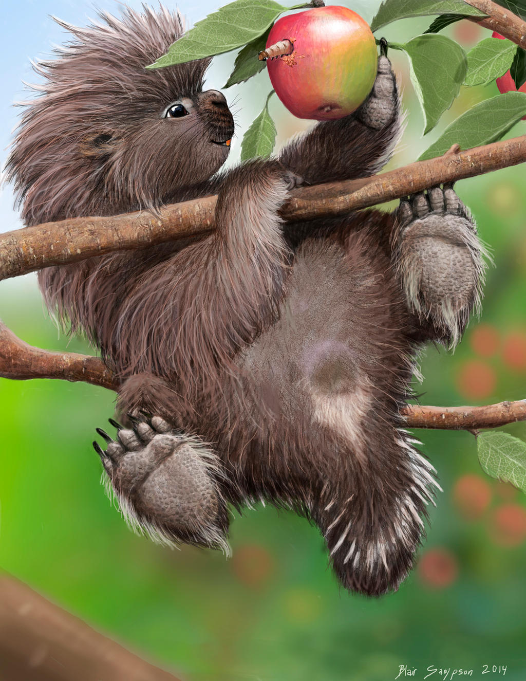 Baby Porcupine Loves MacIntosh Apples