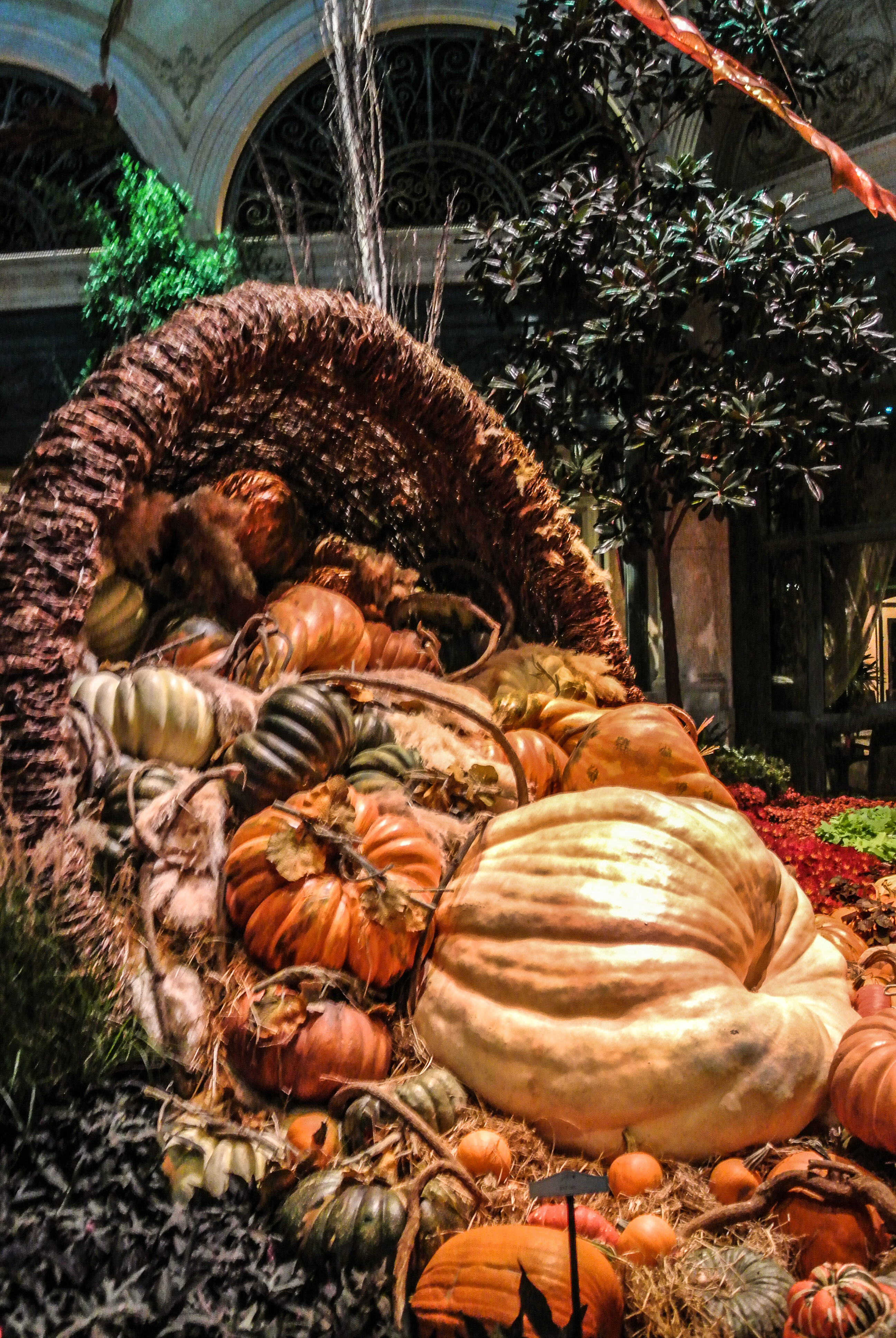 Bellagio Fall display II