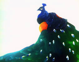 Oil Peacock