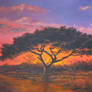 Bushveld sunset