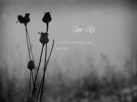 Sigur Ros