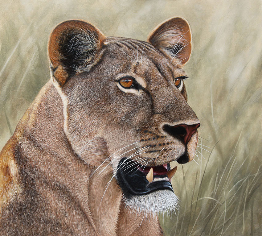 Lioness. Oil on panel