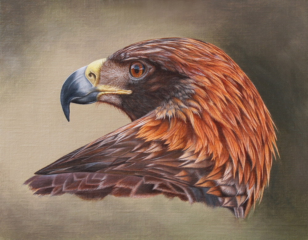 Golden Eagle. Oil on canvas.