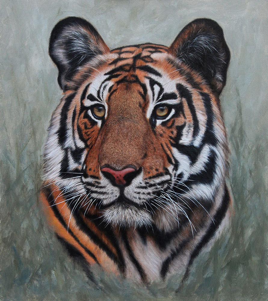 Bengal Tiger Portrait. Oil on panel