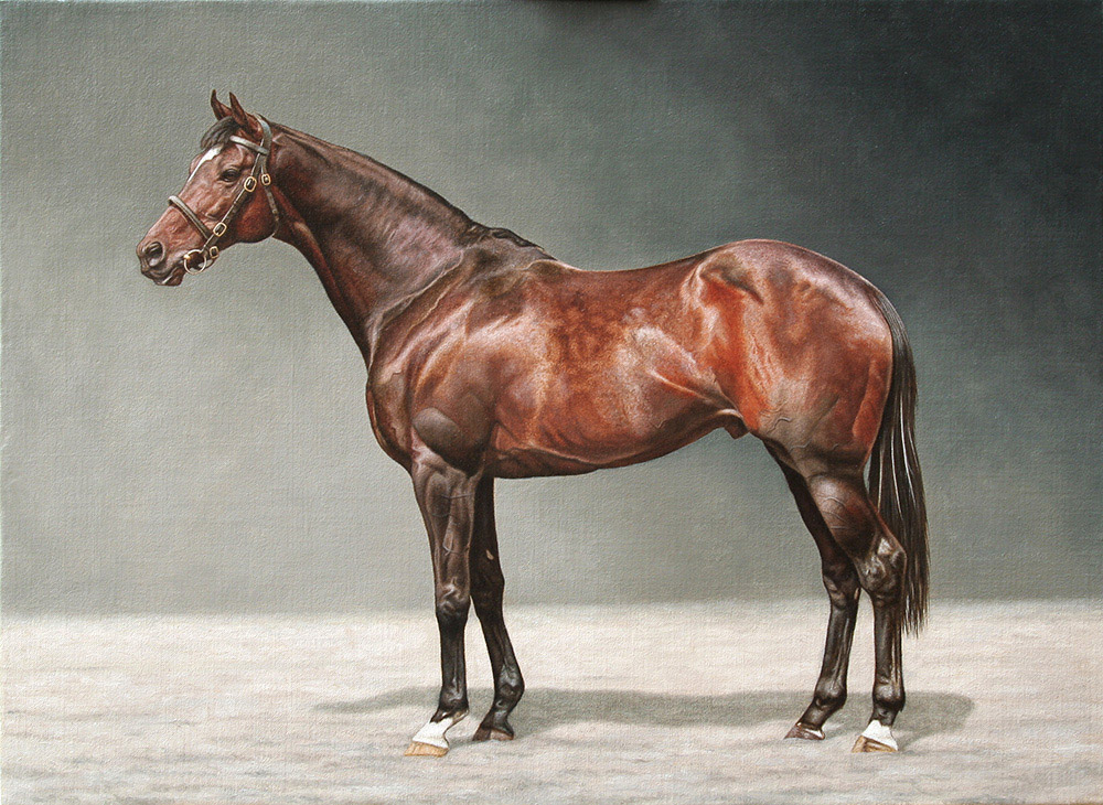 Racehorse Portrait. Oil on canvas panel.