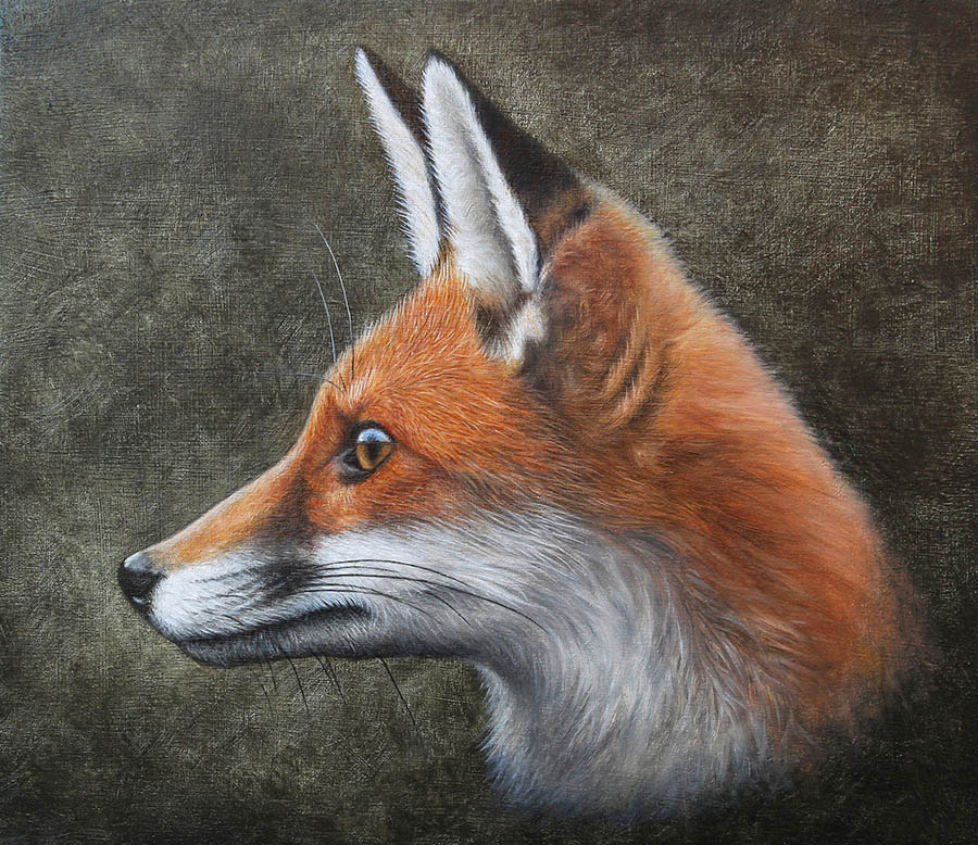 Red Fox Oil painting