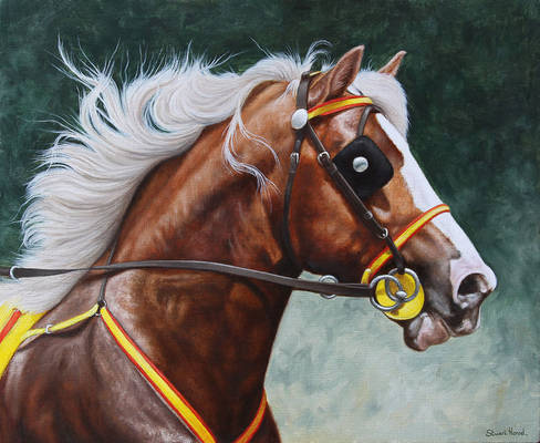 horse portrait. Gypsy Cob. Oil on Panel.