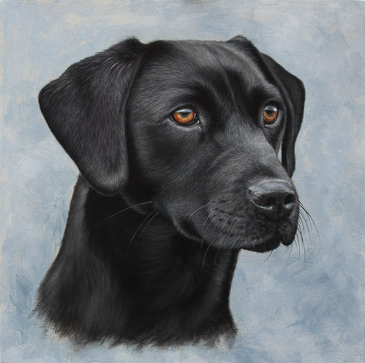 Black Labrador Portrait. Oil on Panel.