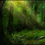 forest speedpaint
