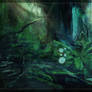 Jungle exploration