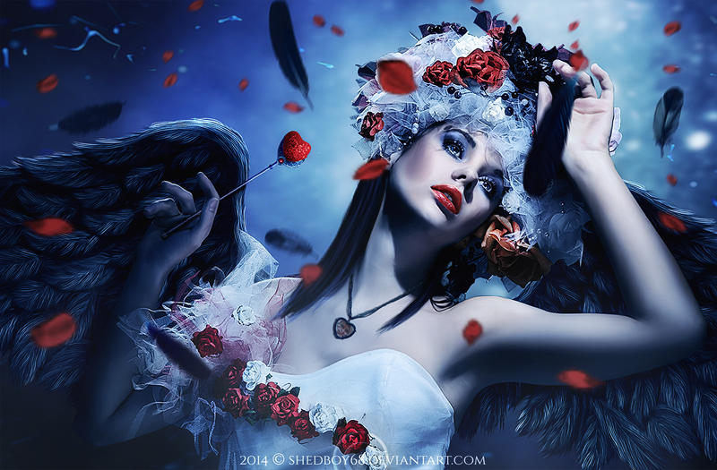 Wishing On A Dream by Shedboy68 Wishing On A Dream by Shedboy68