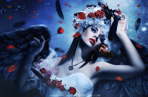 Wishing On A Dream by Shedboy68 Wishing On A Dream by Shedboy68