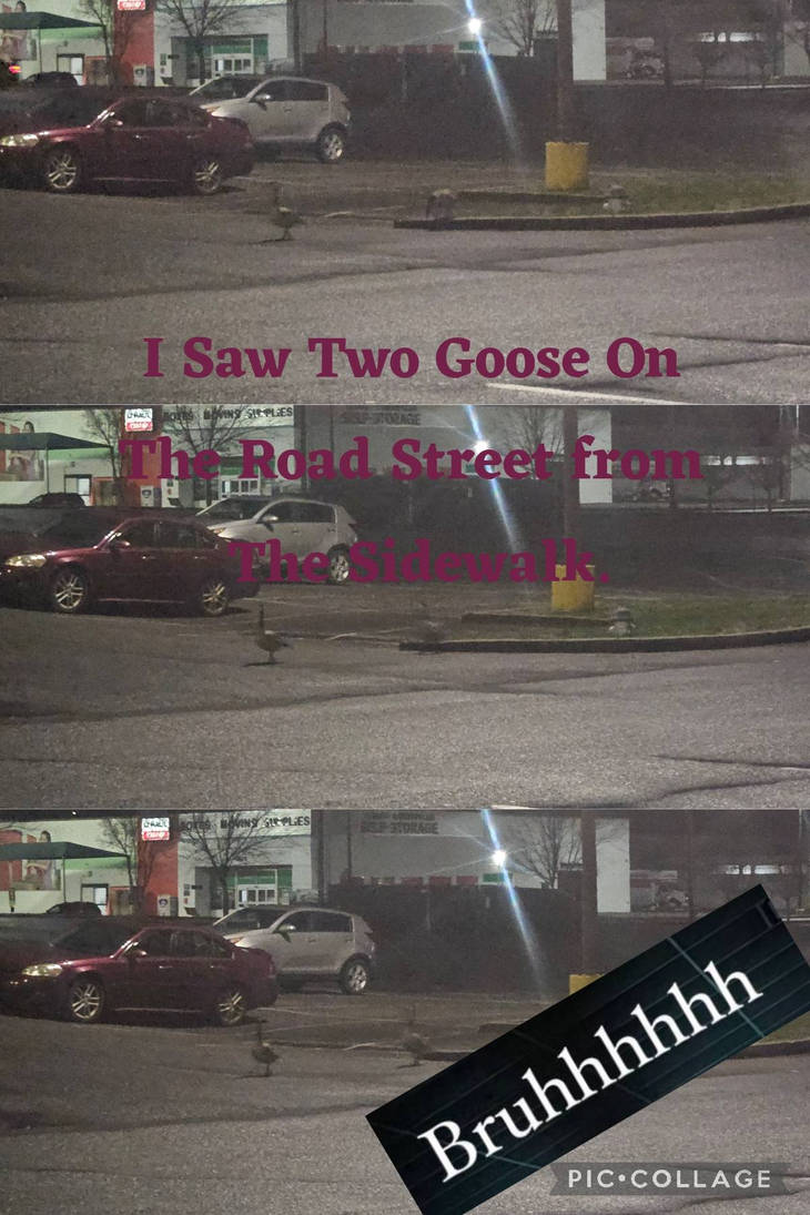 Two Gooes on the Sidewalk Meme Picture by ThomasFan66 on DeviantArt