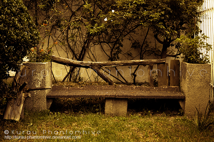 ''The Bench''