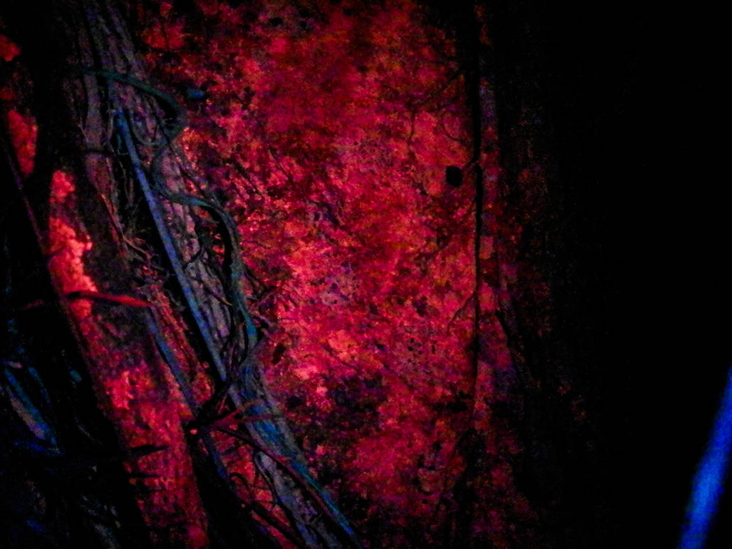Red Branch Rage Red Branch by jklove88 on DeviantArt