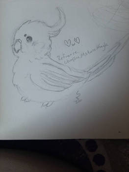 Birb Doodle