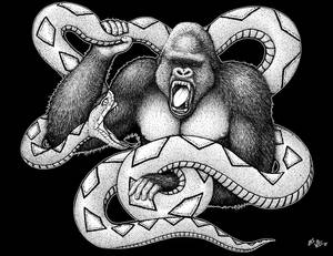 Gorilla Vs Snake