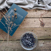 Wire copper necklace and blueberries