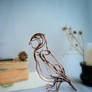 Owl  - wire sculpture