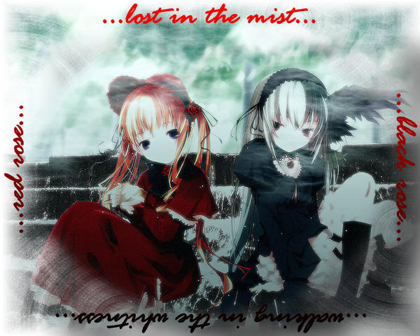 Mist Roses Art Mist Roses by KaKaShIiSmInE on DeviantArt