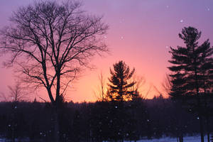 Snowy sunset