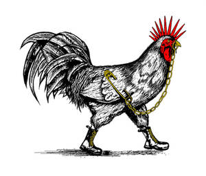 punk cock