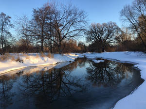 Winter at the Arboretum