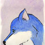 Blue Wolf Portrait