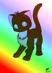 Rainbow Maurice