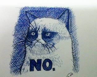 Grumpy Cat