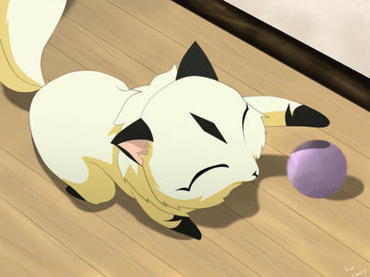 Kirara at play