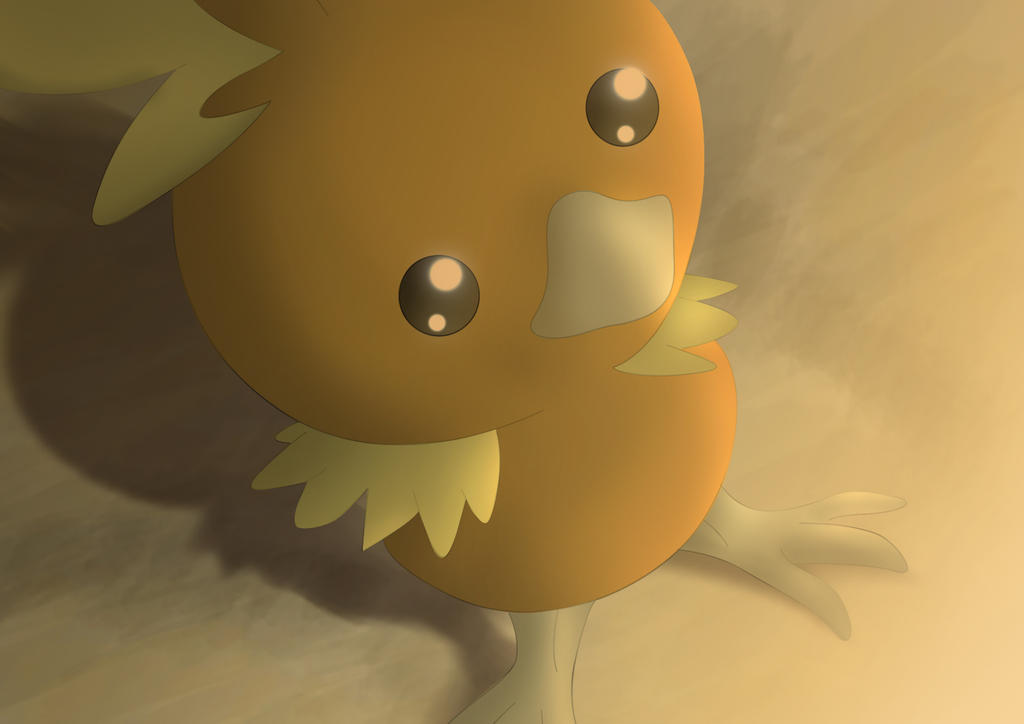 Torchic Doctor Torchic by All0412 on DeviantArt