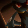 Riolu