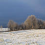 Winter scenery II